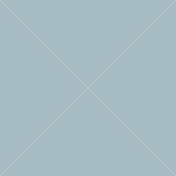 Product 10--Zeus-olesya-test-store