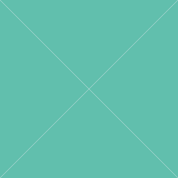 Product 23--Hermes-olesya-test-store