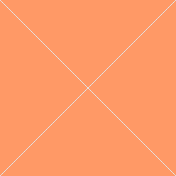 Product 14--Hermes-olesya-test-store